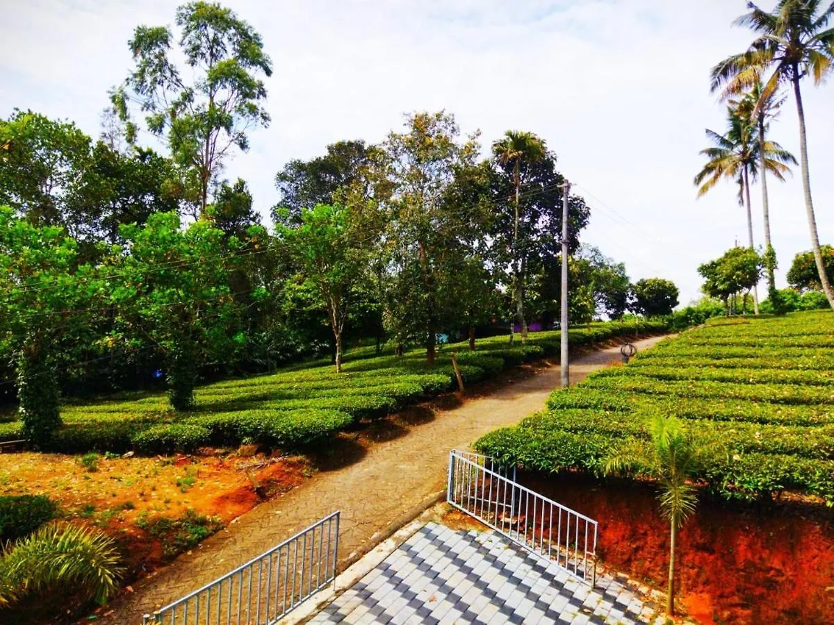 Anachal The Svarga Hotel